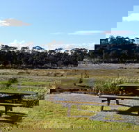 Pelican Point Sanctuary - Tourism Noosa