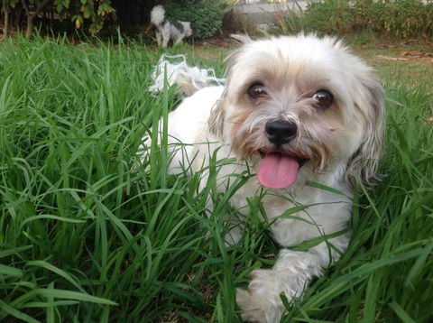 A Country Barn Retreat - Tourism Noosa 3