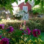 A Country Barn Retreat - Tourism Noosa 0