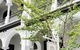 Hotel Challis Potts Point - thumb 4
