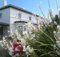 The Grove Cottages - Tourism Noosa