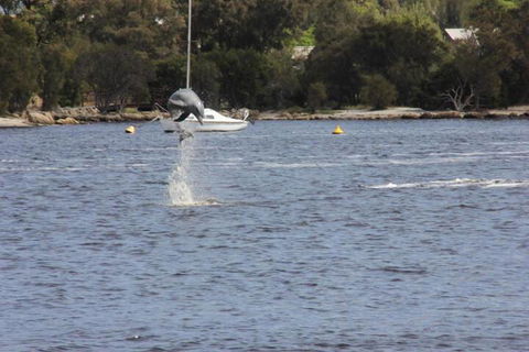 Tani Hill - Tourism Noosa 1