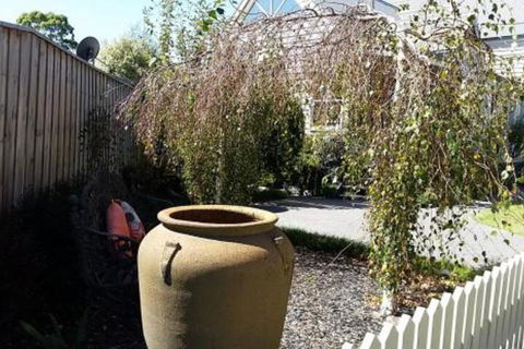 Creek Cottage Bed & Breakfast - Tourism Noosa 4