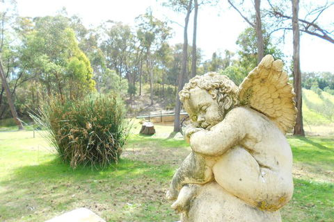 Countryside Connections Tranquil Studio - Tourism Noosa 4