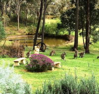 Countryside Connections Tranquil Studio - Tourism Noosa