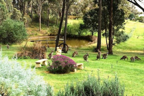 Countryside Connections Tranquil Studio - Tourism Noosa 0