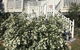 Glen Aplin Gardens B&B - thumb 0