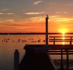Bayview Boathouse - Tourism Noosa