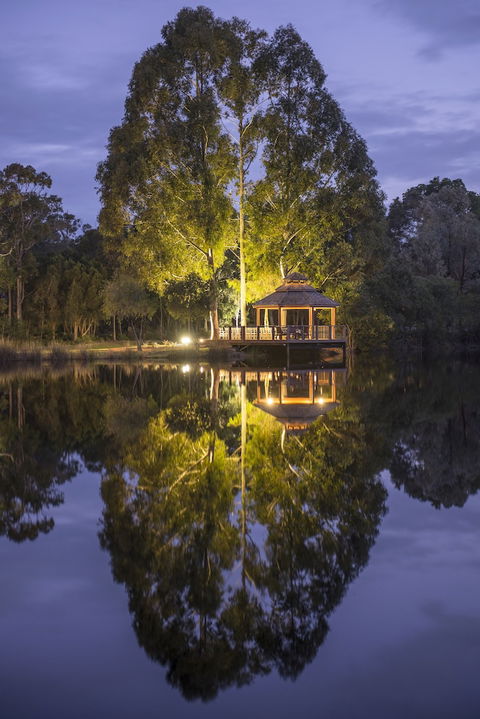 Forest Rise - Tourism Noosa 0
