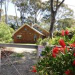 Dalmeny NSW Tourism Noosa