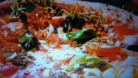 Alfio's Pizzeria - Tourism Noosa 0