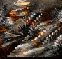 MoVida Next Door - Tourism Noosa