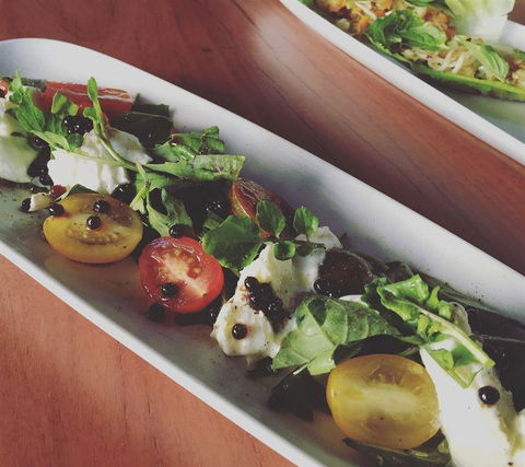 Rhonda's Bar - Tourism Noosa 5