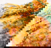 The Water Rat Hotel - Tourism Noosa