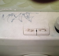 Bonsai Bali - Tourism Noosa