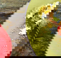 Tarnuk Room  Boon Wurrung Cafe - Tourism Noosa