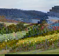 De Bortoli Winery  Restaurant - Tourism Noosa