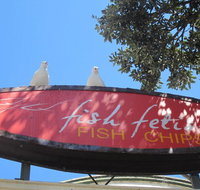 Fish Fetish - Tourism Noosa