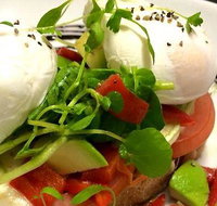 Wild Canary - Tourism Noosa