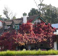 Fetching Treasures - Tourism Noosa