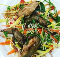 Tuileries Restaurant - Tourism Noosa