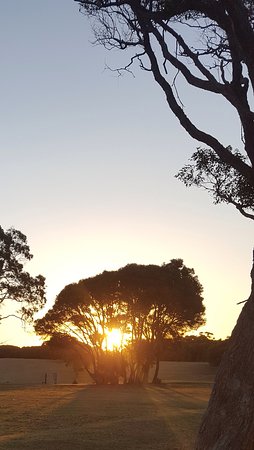 Mallacoota Golf & Country Club - Tourism Noosa 0