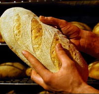 Red Beard Historic Bakery - Tourism Noosa