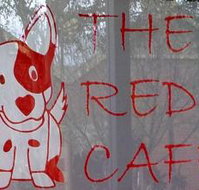 Red Dog Cafe - Tourism Noosa