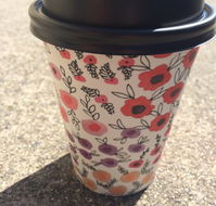 Scatter Bean - Tourism Noosa