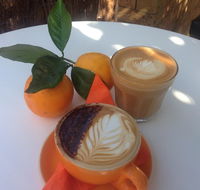 The Orange Tree - licensed cafe by the river - Tourism Noosa