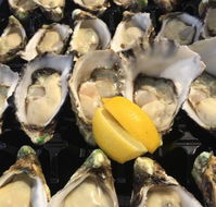 The Oyster Shed - Tourism Noosa