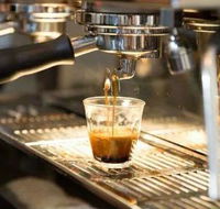 Black Bear Cafe - Tourism Noosa