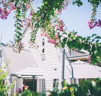 Cedar Bar  Kitchen - Tourism Noosa