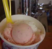 Bermagui Gelati Clinic - Tourism Noosa