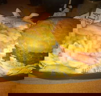 Finn  Co Cafe - Tourism Noosa