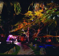 Poinciana - Tourism Noosa