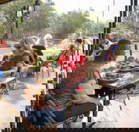 Redgums on PS Emmylou - Tourism Noosa