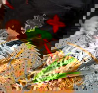 Thai Square Springwood - Tourism Noosa