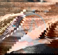 The Anchor Coffee House - Tourism Noosa