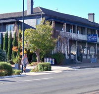 Coachwood  Cedar Motor Hotel Restaurant - Tourism Noosa
