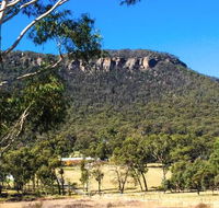 The Lolly Bug - Tourism Noosa