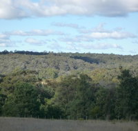 U Saucey Thing - Tourism Noosa