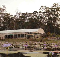 Abundance Cafe and Garden Centre - Tourism Noosa