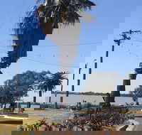 The Fine Filly - Tourism Noosa