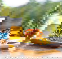 Hello Harry - Ascot  Hamilton - Tourism Noosa