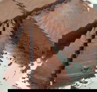 Yakiniku Gyuzo BBQ and Tapas - Tourism Noosa