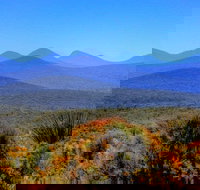 Arcadia Wines - Tourism Noosa