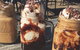 Blairgowrie Cafe - thumb 0