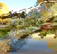 Cradle Coast Olives - Tourism Noosa