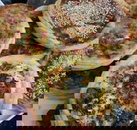 The Re Store Northbridge - Tourism Noosa